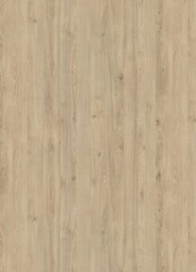 DUB DAVOS PRIRODNY H3131 ST12