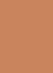 NUDE KARAMELOVA U830 ST9